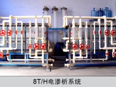 8T/H電滲析系統(tǒng)